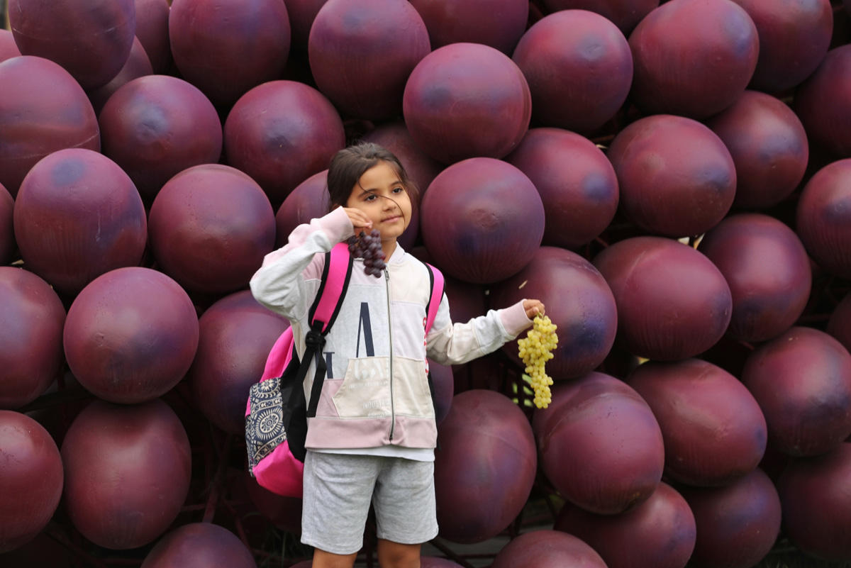 Яркие моменты первого Азербайджанского фестиваля винограда и вина