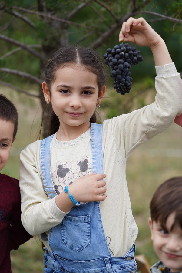 Яркие моменты первого Азербайджанского фестиваля винограда и вина