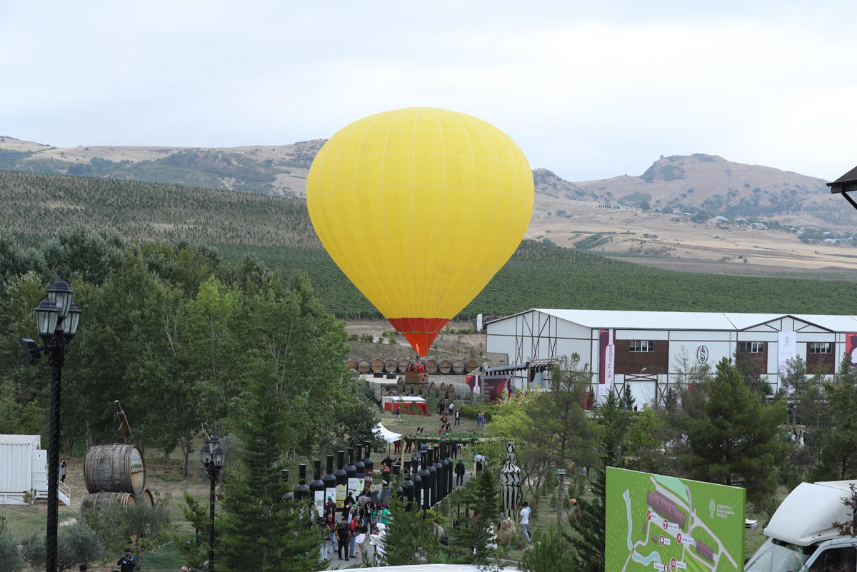 Яркие моменты первого Азербайджанского фестиваля винограда и вина