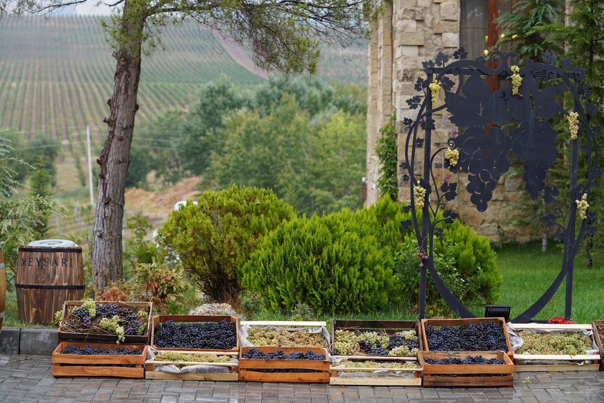 Яркие моменты первого Азербайджанского фестиваля винограда и вина