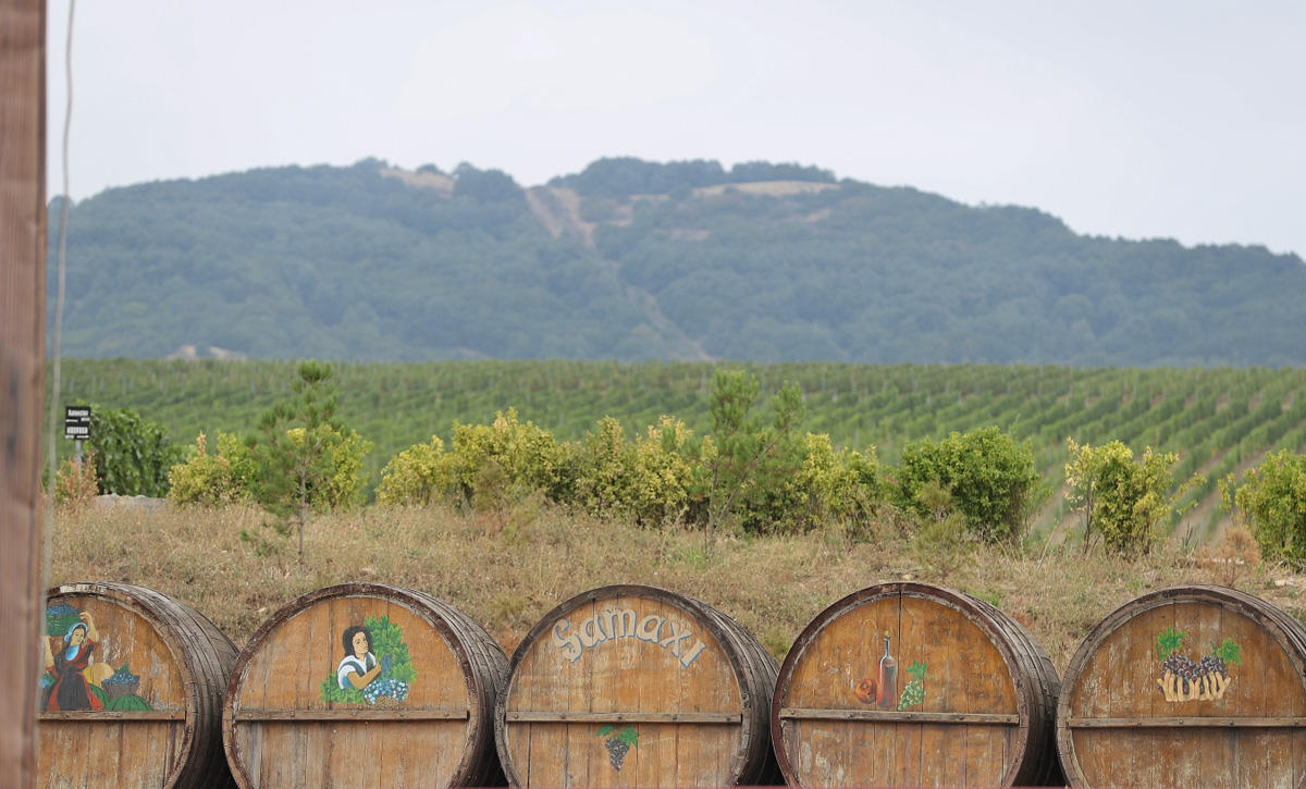 Яркие моменты первого Азербайджанского фестиваля винограда и вина