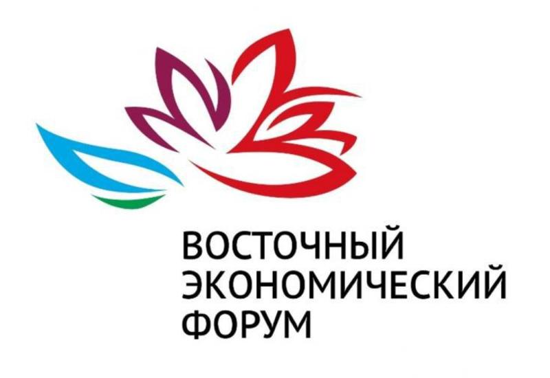 Азербайджанская делегация планирует посетить Восточный экономический форум