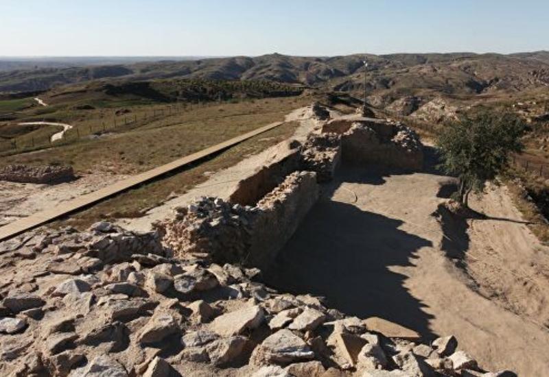 В Китае нашли одних из самых древних билатерий