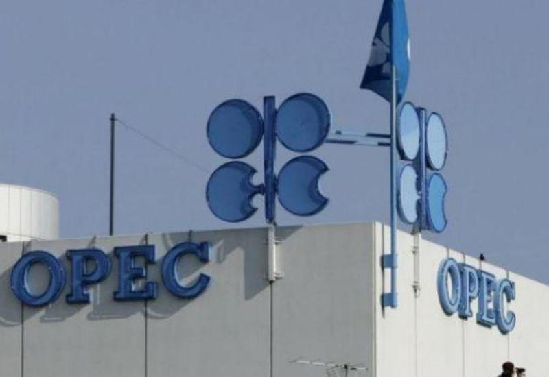 Стало известно, сколько нефти добывает Азербайджан в сутки