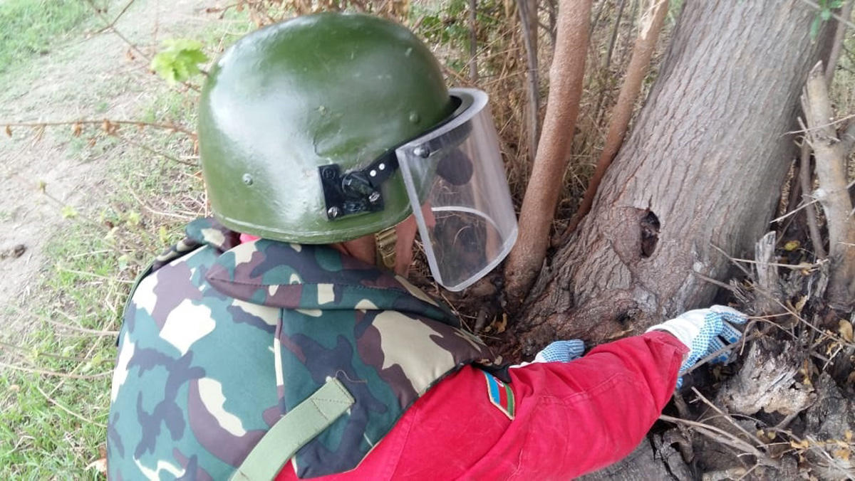 Şəmkirdə təhlükəli tapıntı - FOTO