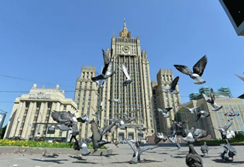 Рассекречены планы ЦРУ использовать голубей и дельфинов в качестве шпионов