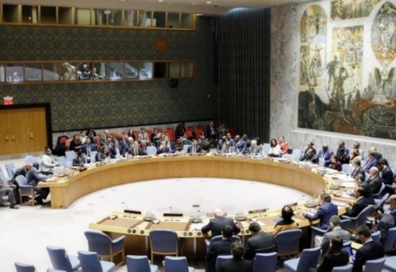 Россия и Китай проголосовали против резолюции по прекращению огня в Идлибе