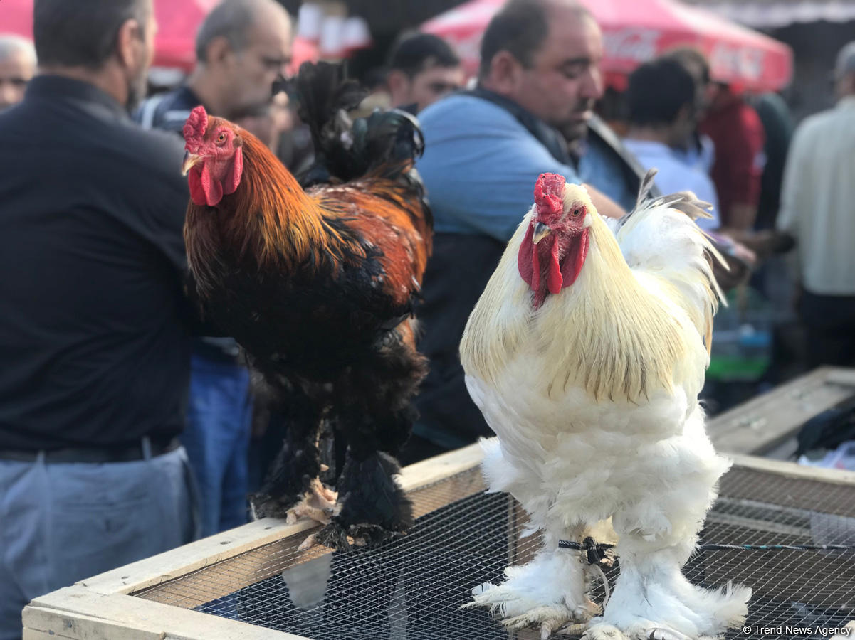 Xotini Lenaning sikilayotgan shaxsiy surati