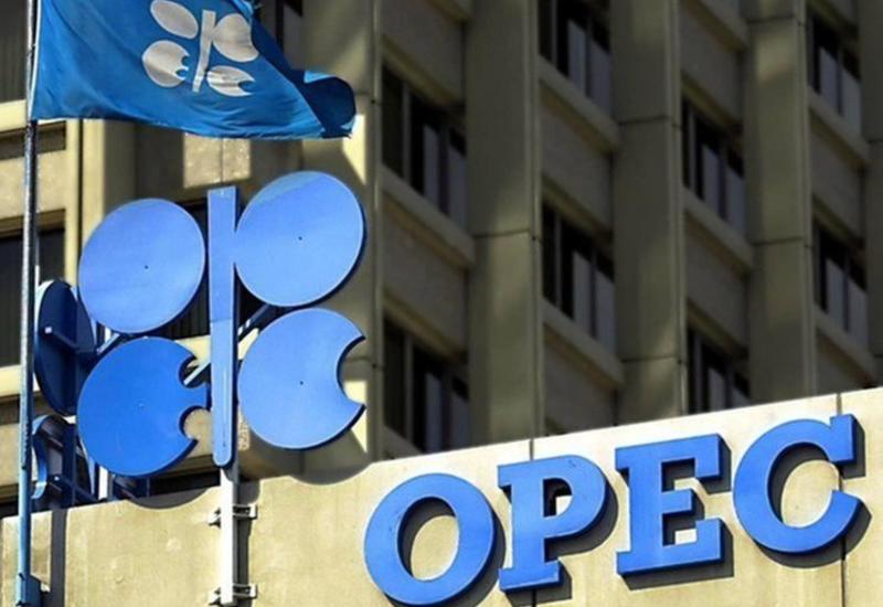 ОПЕК снизила оценку роста потребления нефти в 2019 году