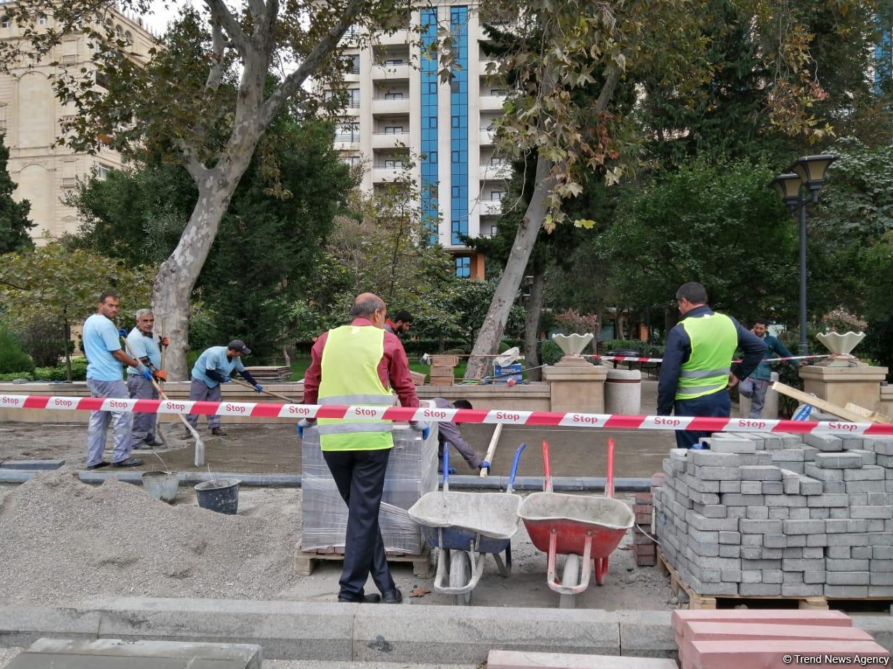 В Баку создаются велосипедные дорожки