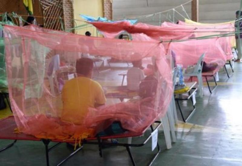 В Пакистане десятки тысяч человек заболели лихорадкой денге