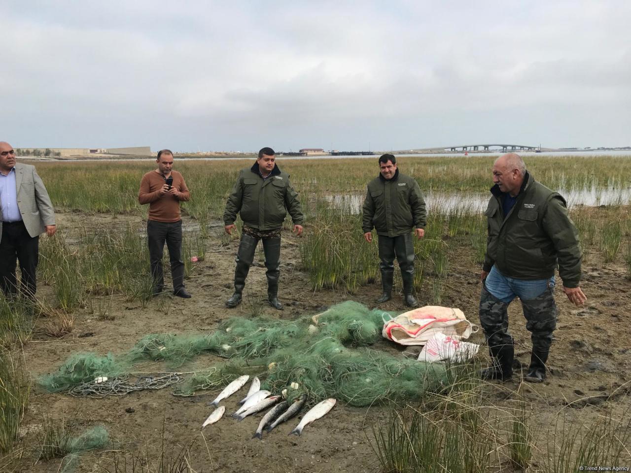 Побережье поселка Зиря очистили от запрещенных орудий рыболовства