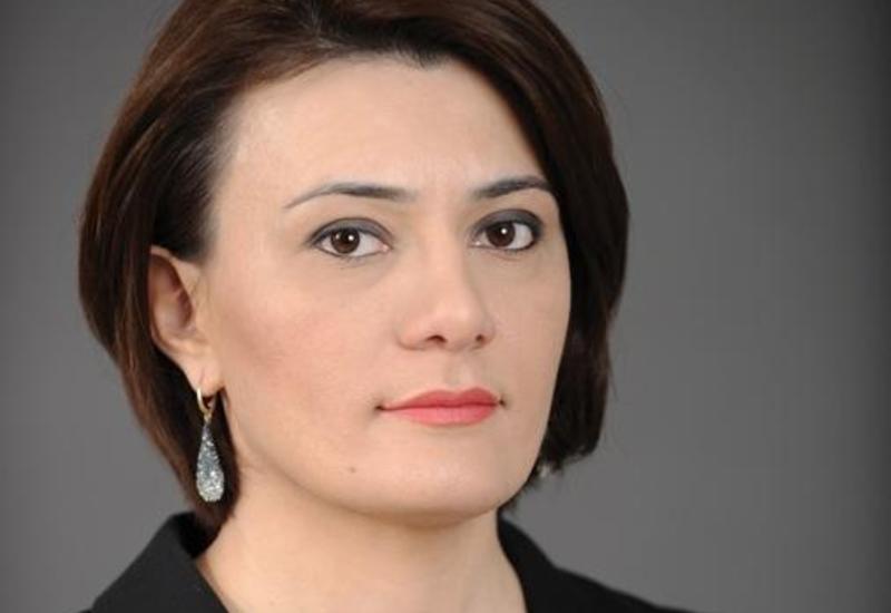 Deputat: "Qanunsuz mitinq keçirməyə cəhd edən radikal müxalifət xalqın dəstəyini görmədi"