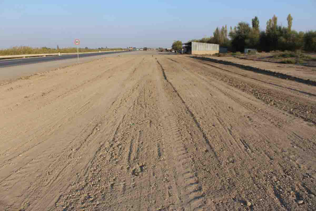 В Сабирабаде посадят 50 тыс. деревьев