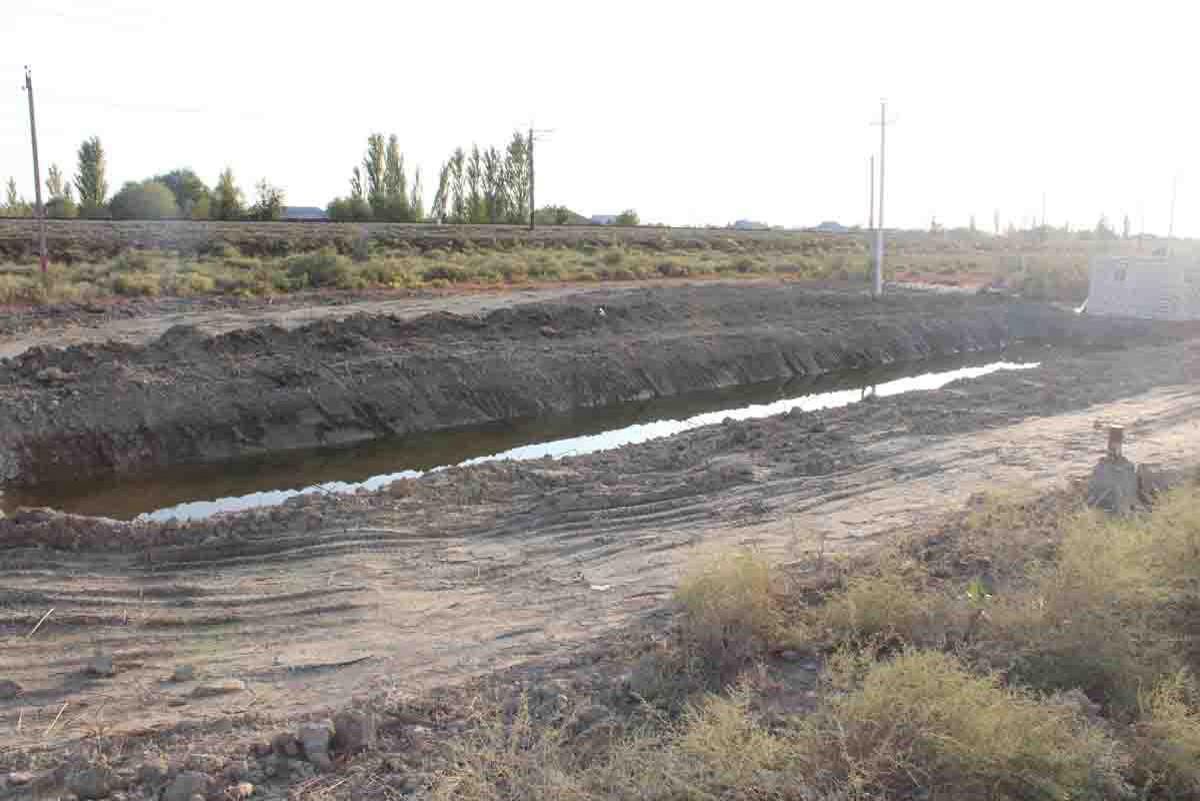 В Сабирабаде посадят 50 тыс. деревьев