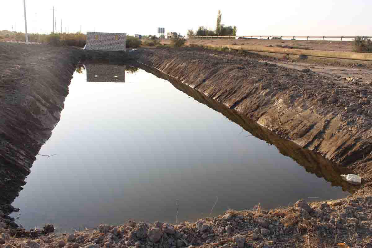 В Сабирабаде посадят 50 тыс. деревьев