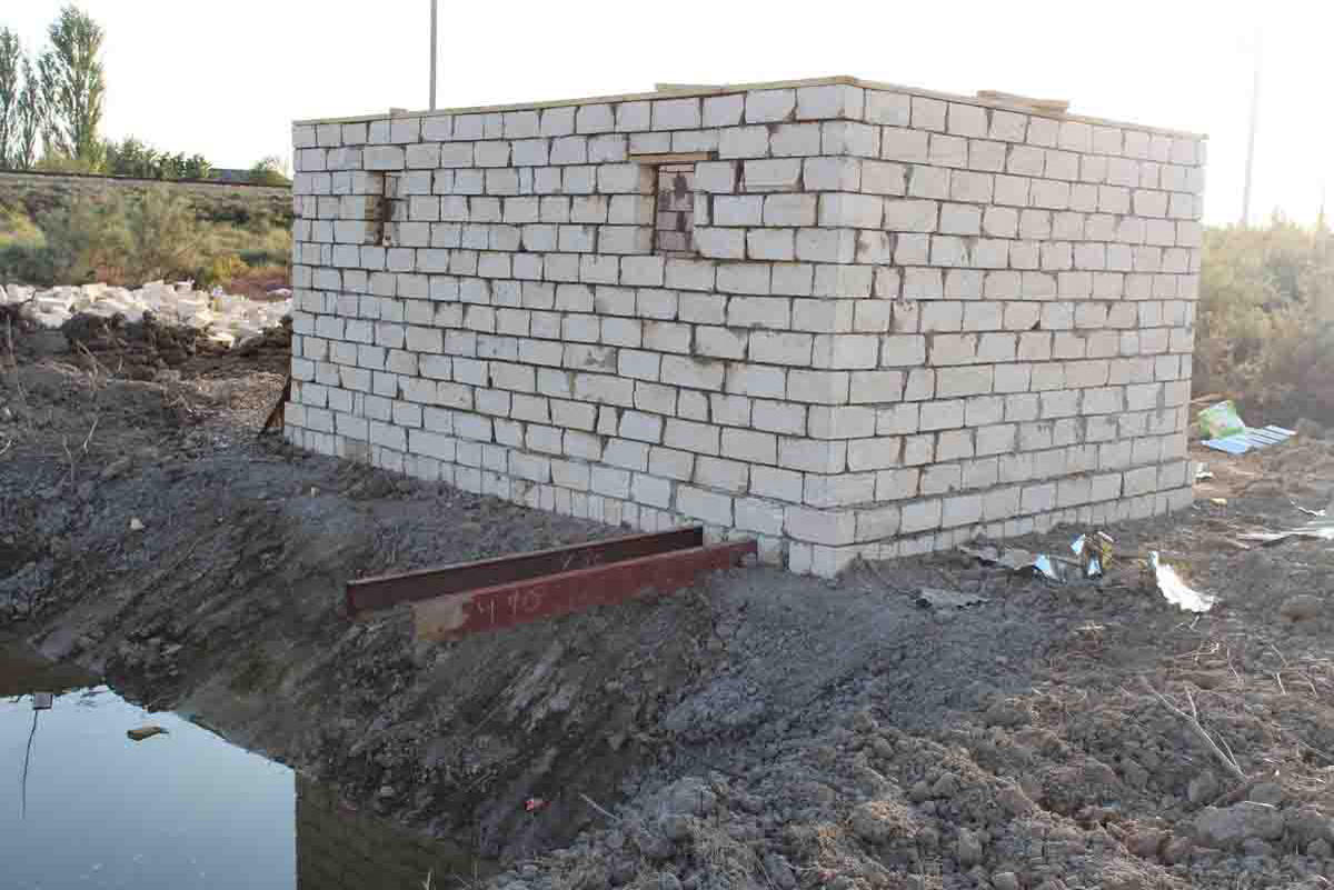 В Сабирабаде посадят 50 тыс. деревьев