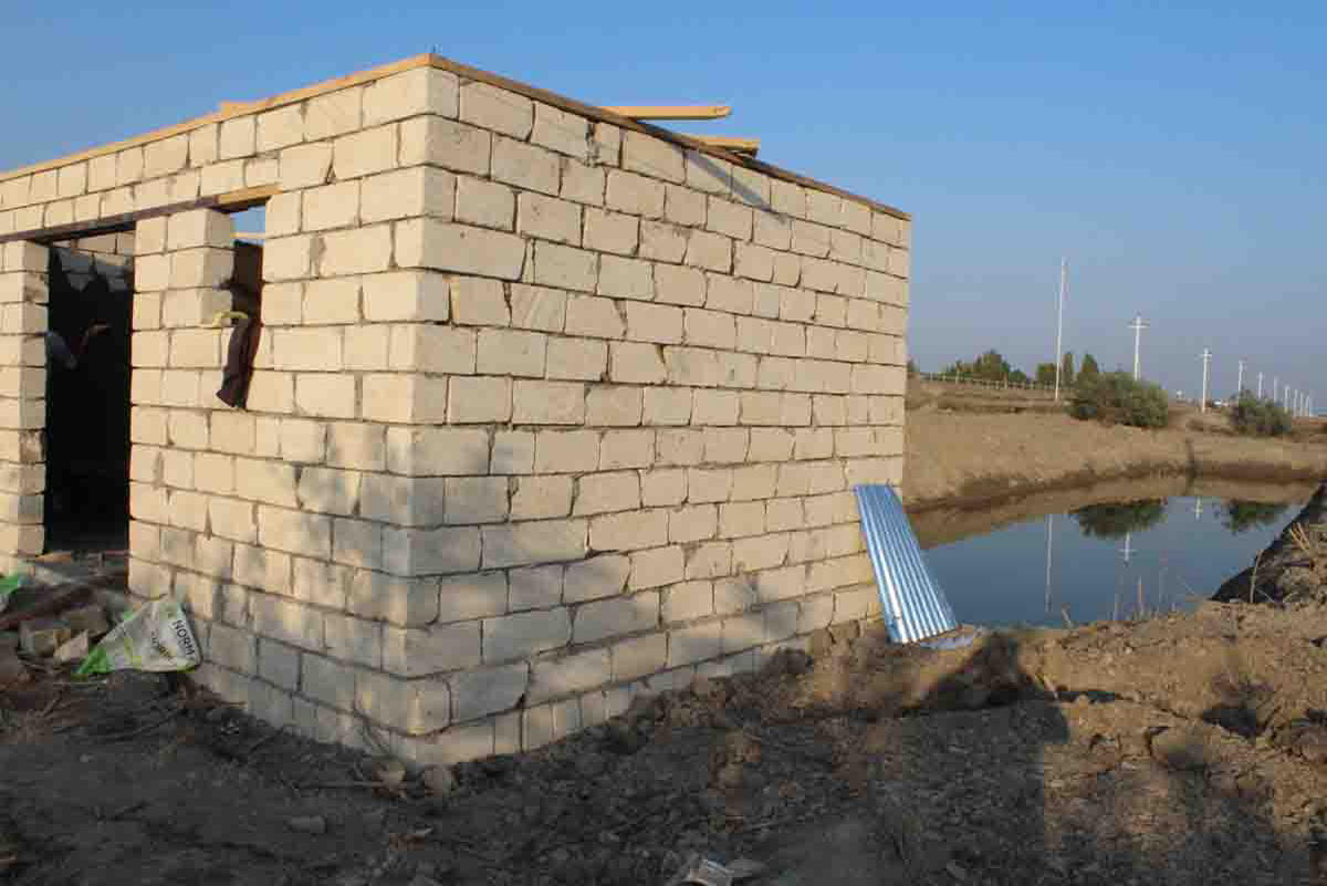 В Сабирабаде посадят 50 тыс. деревьев