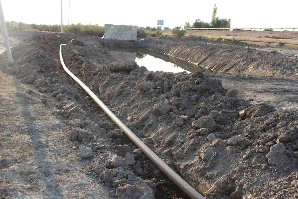 В Сабирабаде посадят 50 тыс. деревьев
