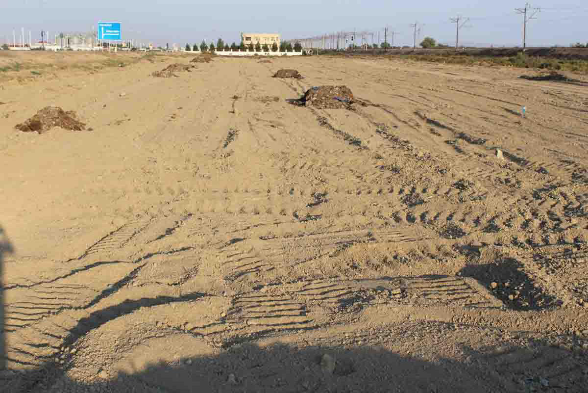 В Сабирабаде посадят 50 тыс. деревьев