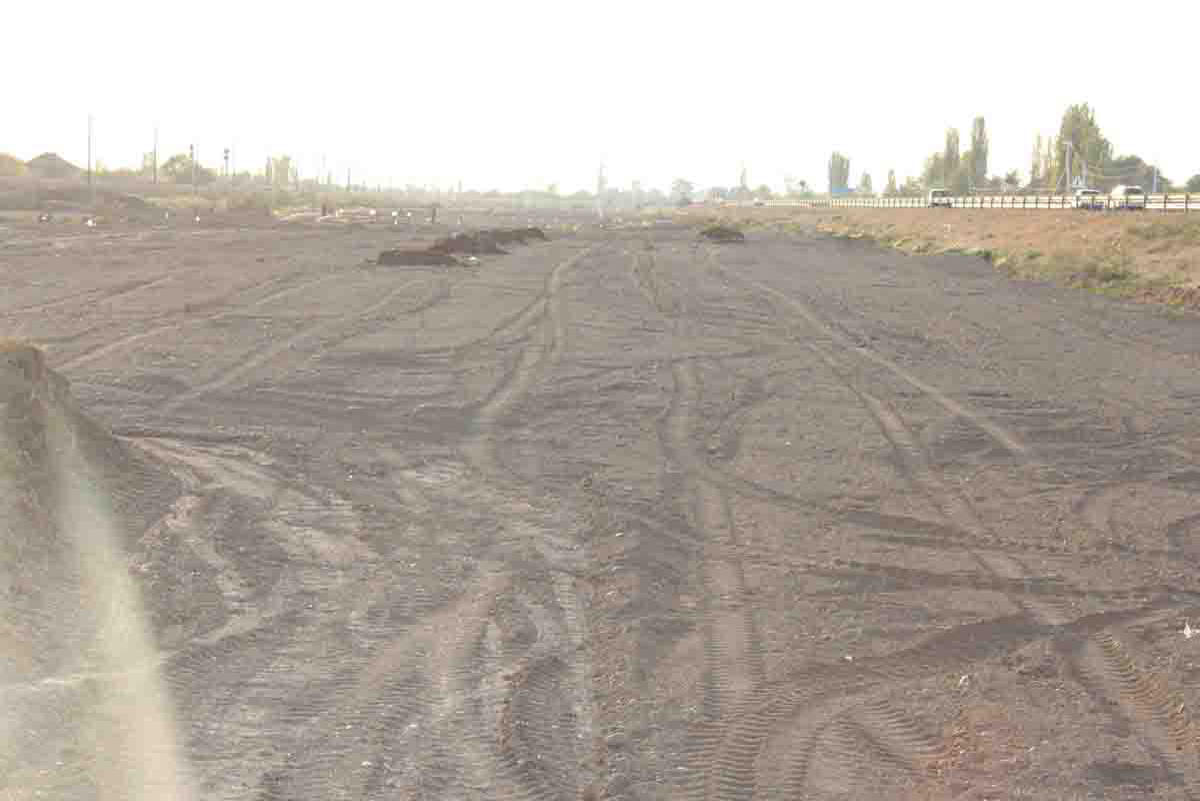 В Сабирабаде посадят 50 тыс. деревьев