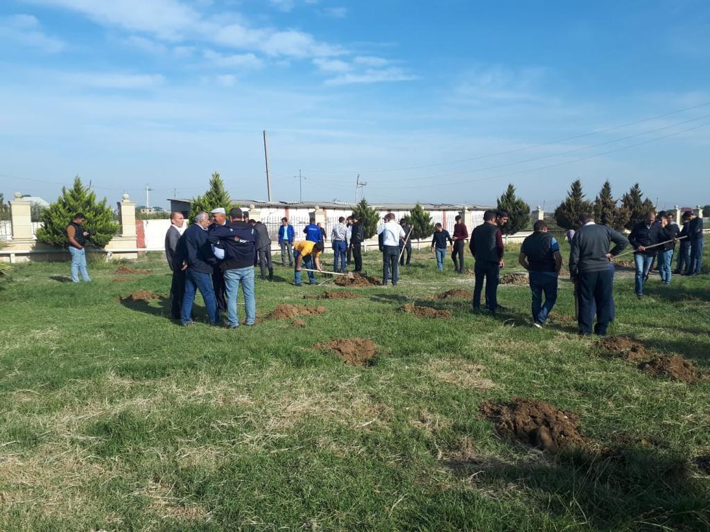 В Геранбое в течение одного дня посадят более 10 тысяч деревьев