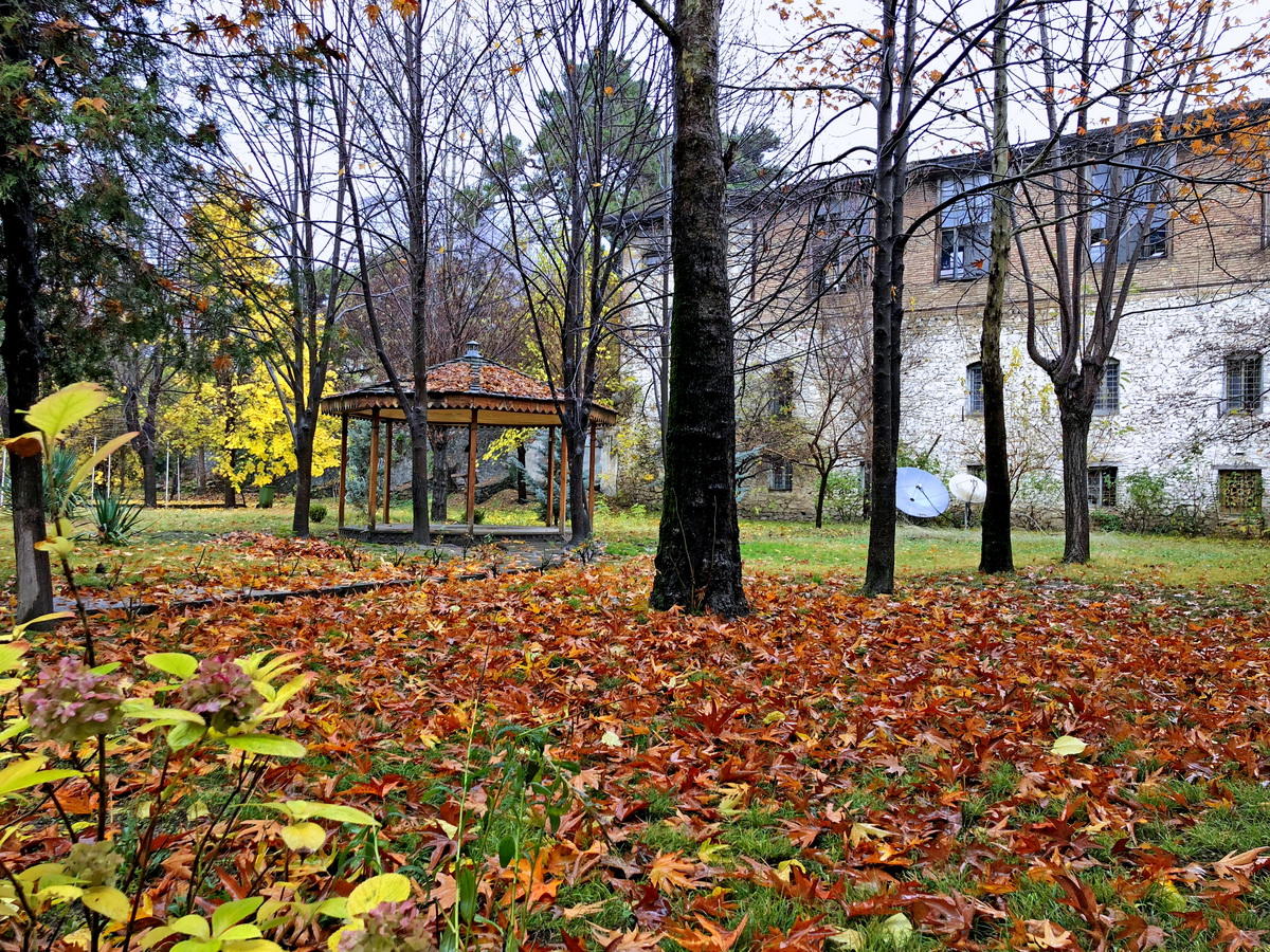 Золотая осень в Шеки - древнем городе ремесленников и мастеров