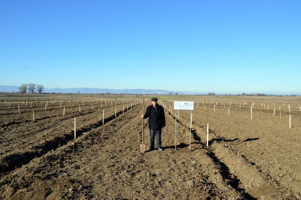 В рамках проекта «Социальные сады» закладываются фруктовые сады еще для 250 семей