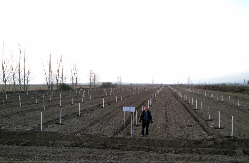 В рамках проекта «Социальные сады» закладываются фруктовые сады еще для 250 семей