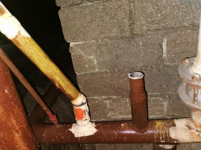 В Баку сильный ветер повалил дерево на газовую трубу