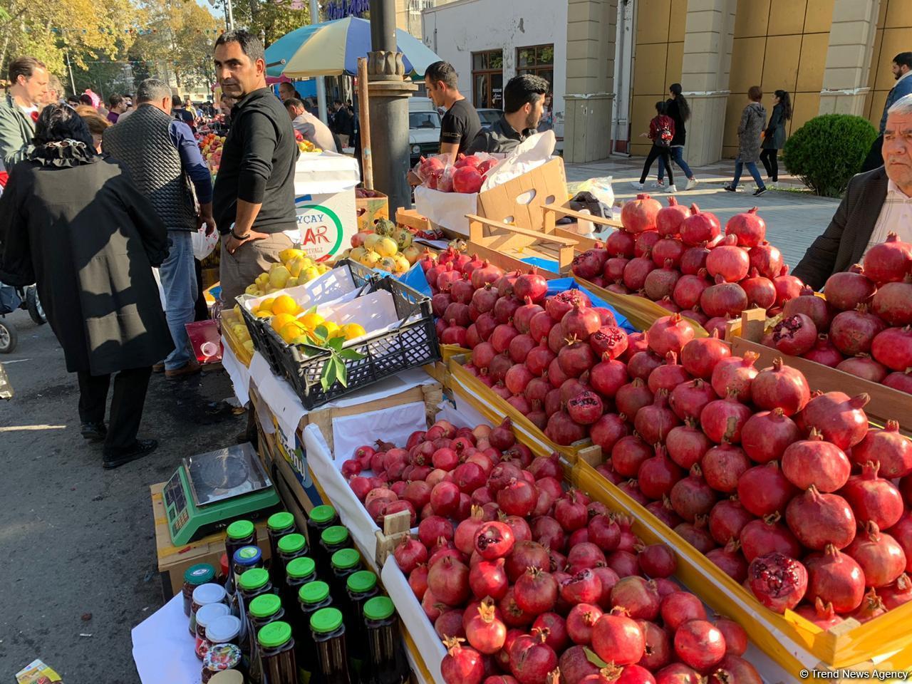 В Гёйчае открылся грандиозный Фестиваль граната