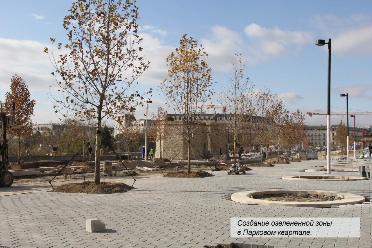 В Baku White City создается очередная зона озеленения