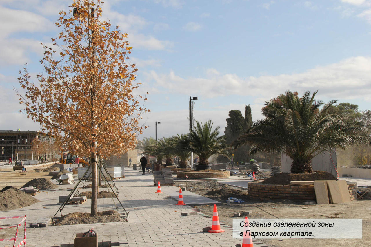 В Baku White City создается очередная зона озеленения
