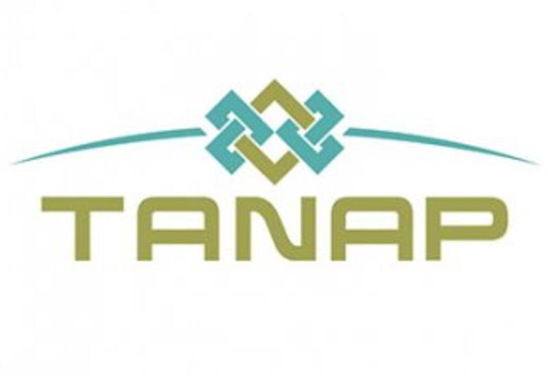 TANAP является проектом века