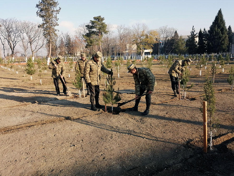 Азербайджанская армия продолжает акцию по посадке деревьев