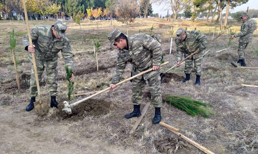 Азербайджанская армия продолжает акцию по посадке деревьев