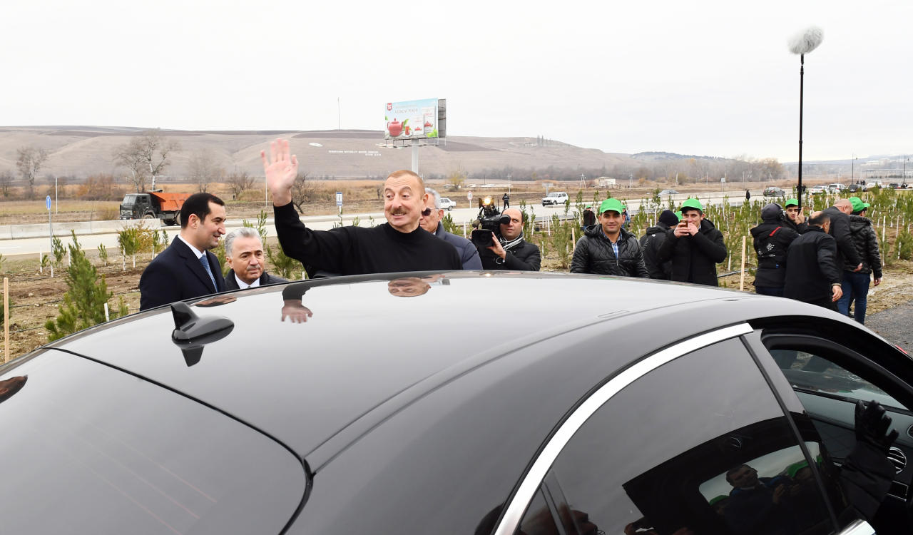 Президент Ильхам Алиев и Первая леди Мехрибан Алиева приняли участие в акции по посадке деревьев в Шамахинском районе