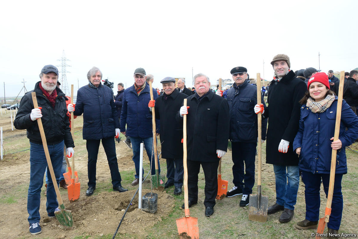 650 тысяч деревьев в день! Представьте, сколько замечательных у нас появится парков