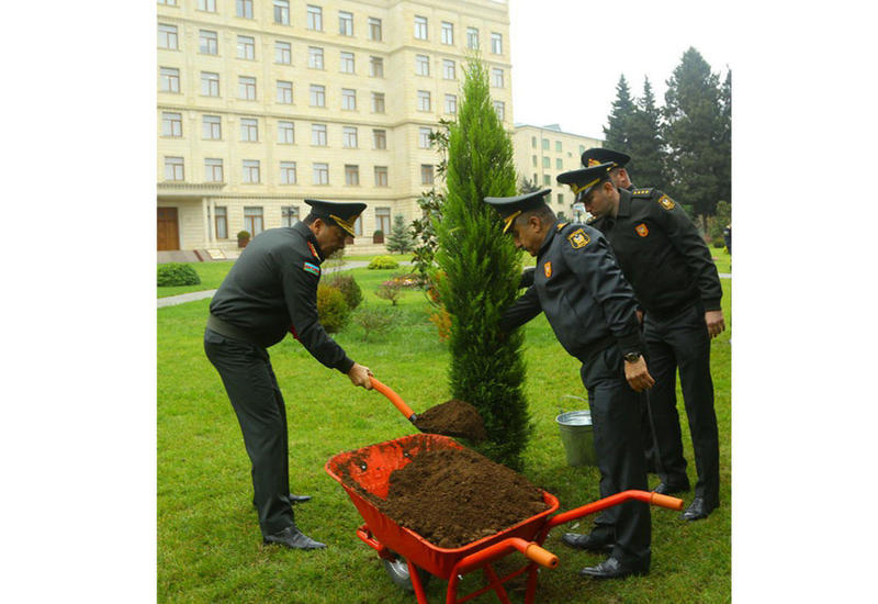 Минобороны Азербайджана приняло участие в акции по высадке деревьев