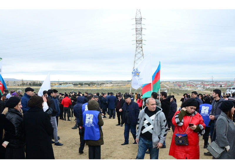 Праздник в Мушфигабаде - акция по посадке 650 тыс. деревьев, концертная программа, знаменитости