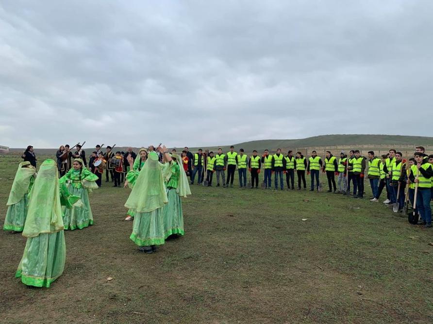 Жители Абшеронского района приняли активное участие в кампании по посадке деревьев