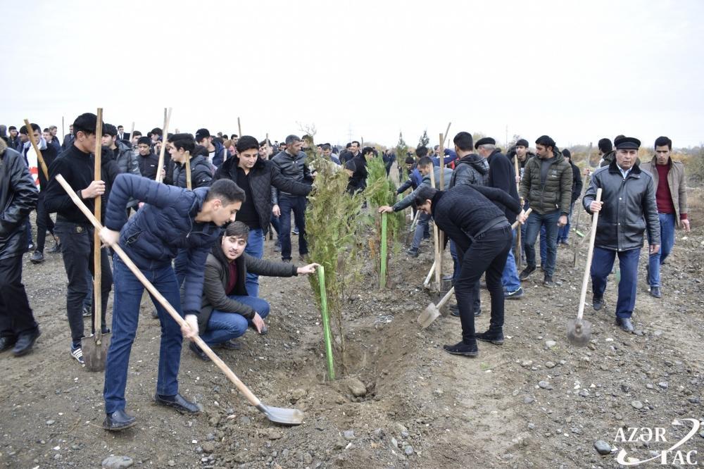 Жители Агджабеди также присоединились к акции по посадке 650 тысяч деревьев