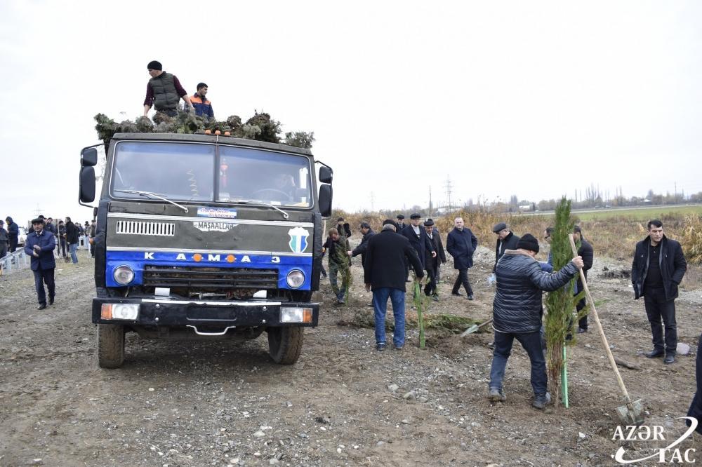 Жители Агджабеди также присоединились к акции по посадке 650 тысяч деревьев