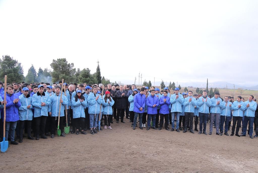 В Гяндже посажено свыше 10 тыс. деревьев
