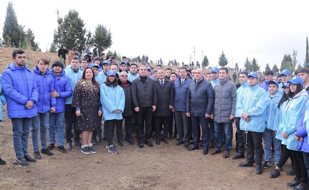 В Гяндже посажено свыше 10 тыс. деревьев
