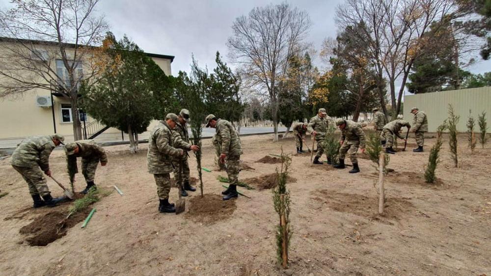 Минобороны Азербайджана приняло участие в акции по высадке деревьев