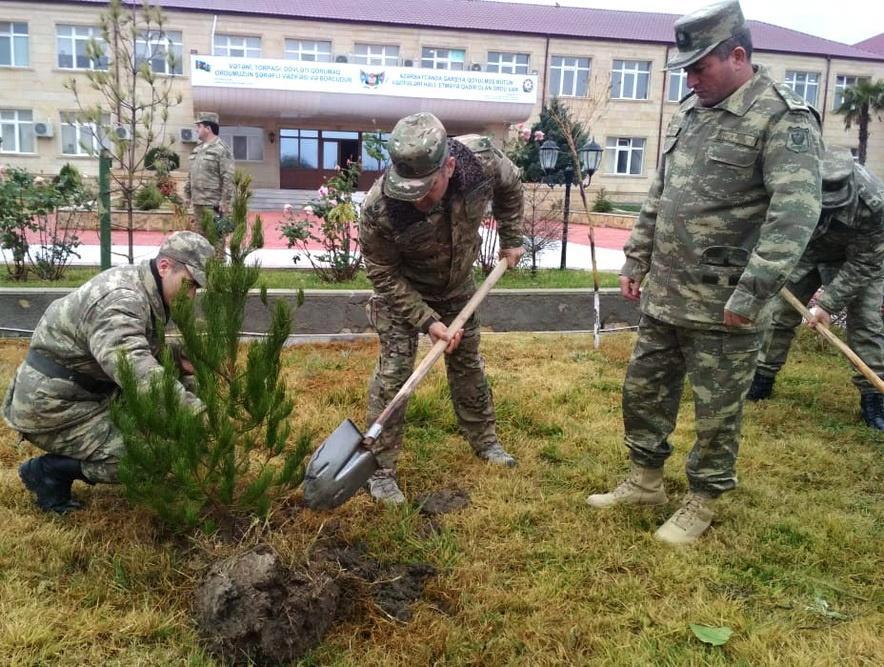 Минобороны Азербайджана приняло участие в акции по высадке деревьев