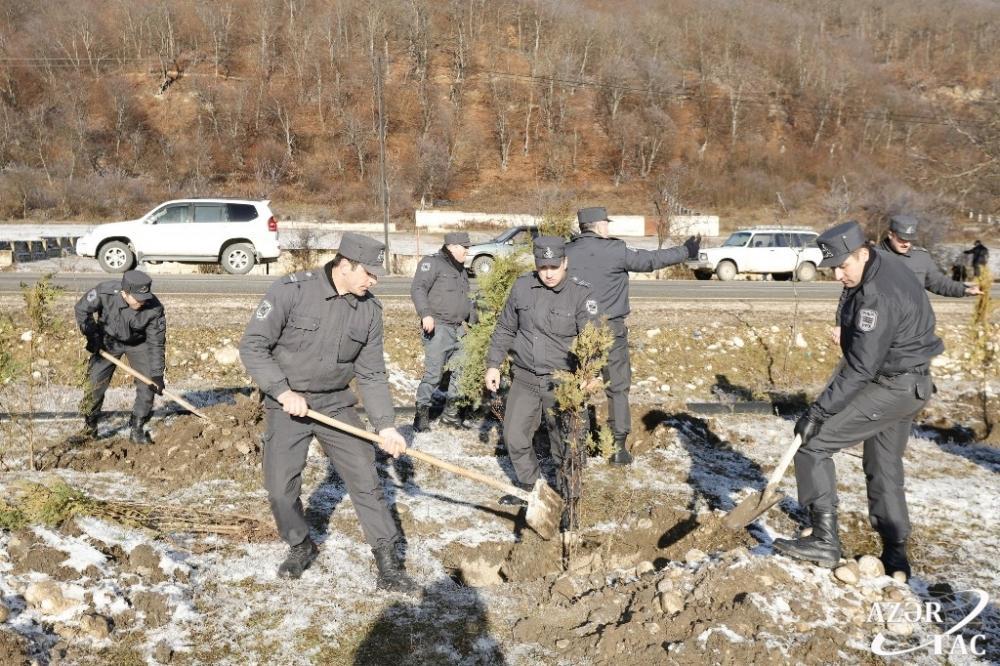 В Гусарском районе проходит акция по высадке деревьев