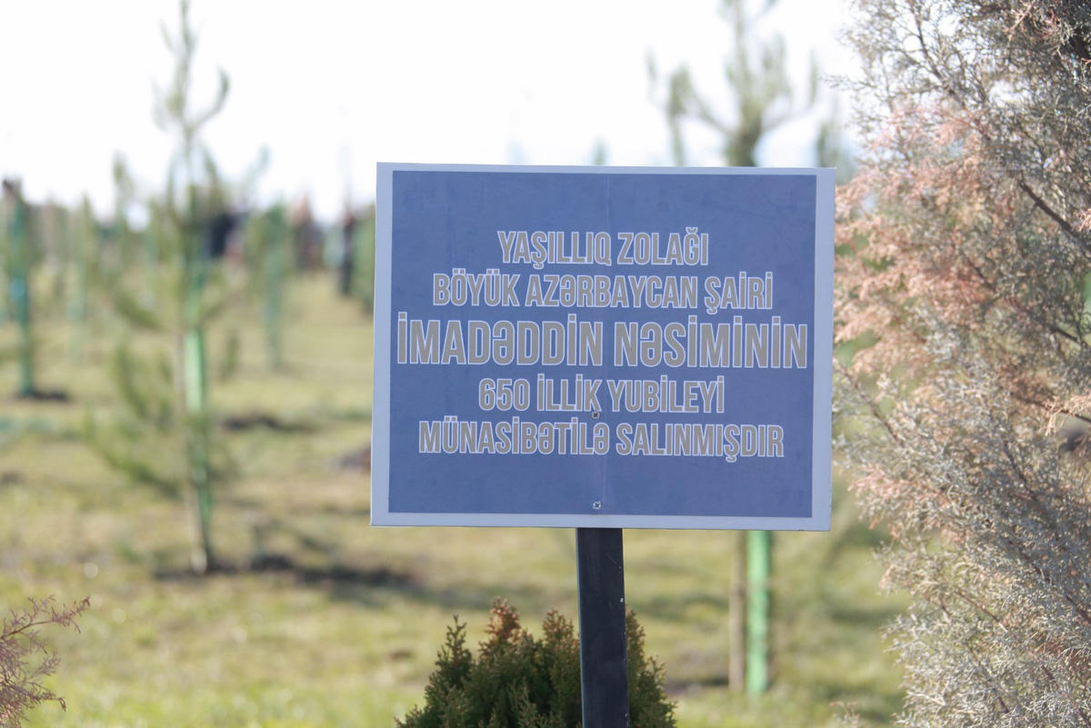 Şəkidə genişmiqyaslı kampaniya çərçivəsində minlərlə ağac əkilib
