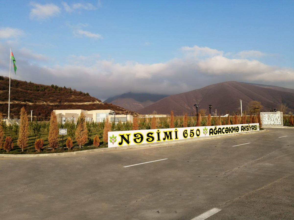 Şəkidə genişmiqyaslı kampaniya çərçivəsində minlərlə ağac əkilib